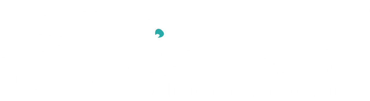 Emerald Photo UK logo