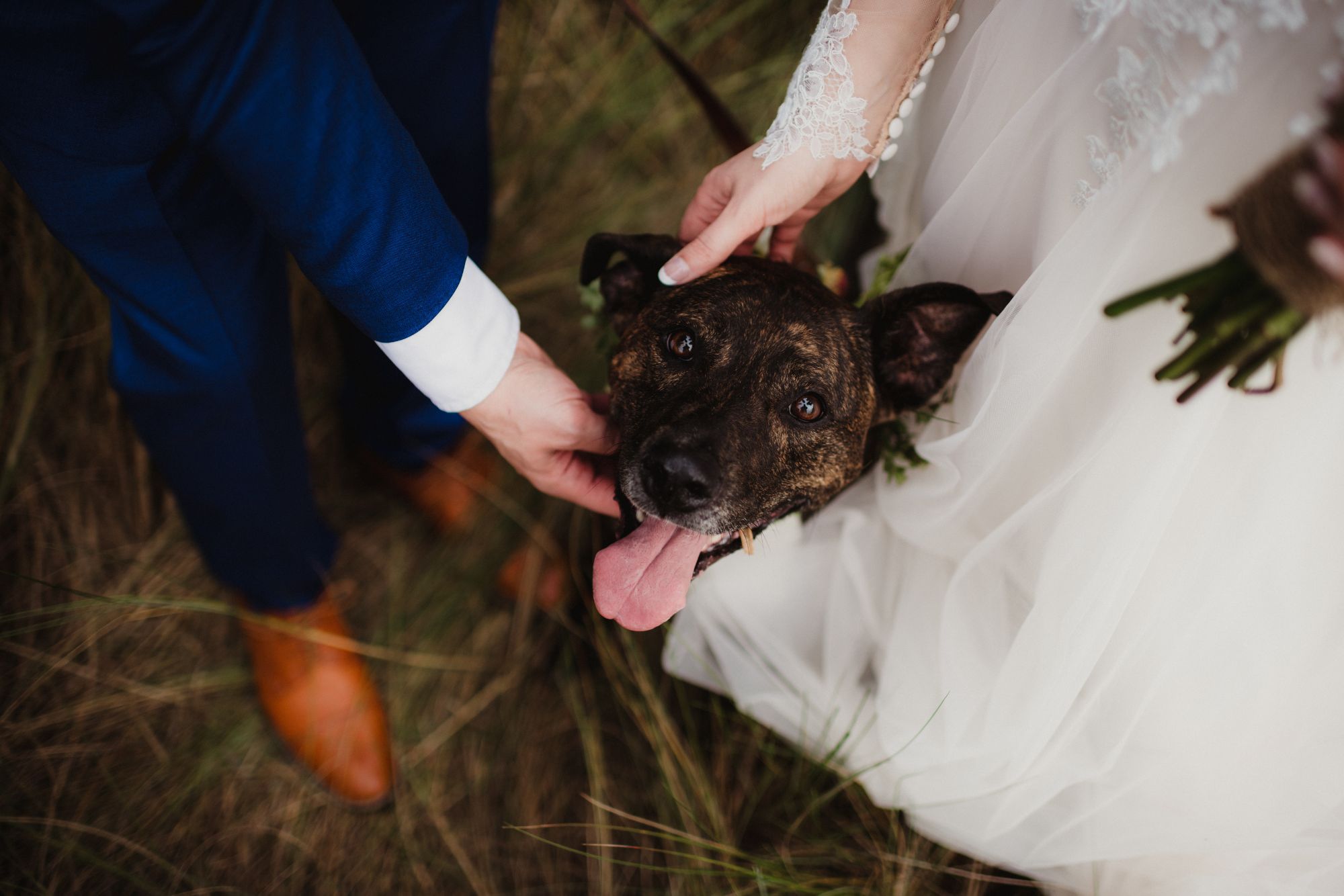Brindle dog between bride and groom during outdoor wedding portraits, happily included in the wedding day.