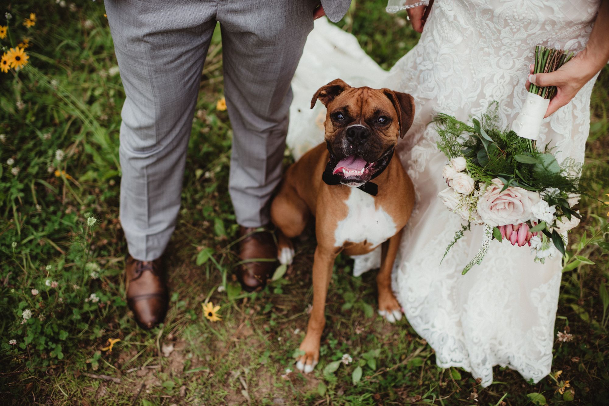 Boxer dog sitting beside bride and groom holding bouquet during relaxed outdoor wedding portraits.