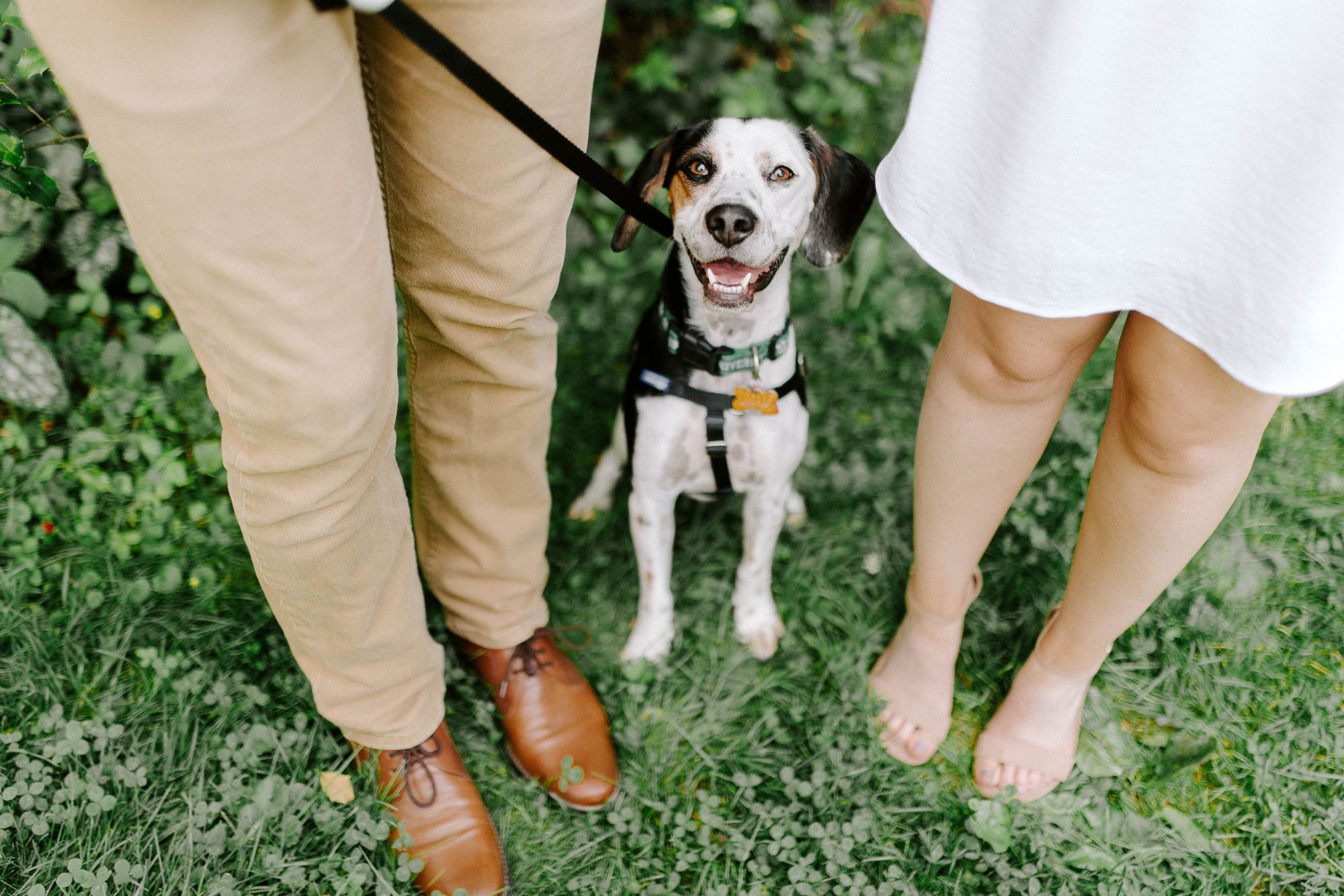 Couple standing with their dog during relaxed outdoor engagement style portrait in a green garden setting.