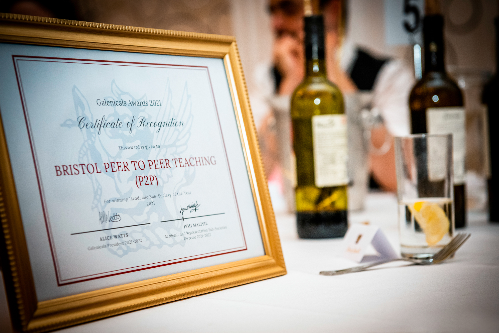 Certificate of Recognition for Bristol Peer to Peer Teaching displayed during the Galenicals Awards.