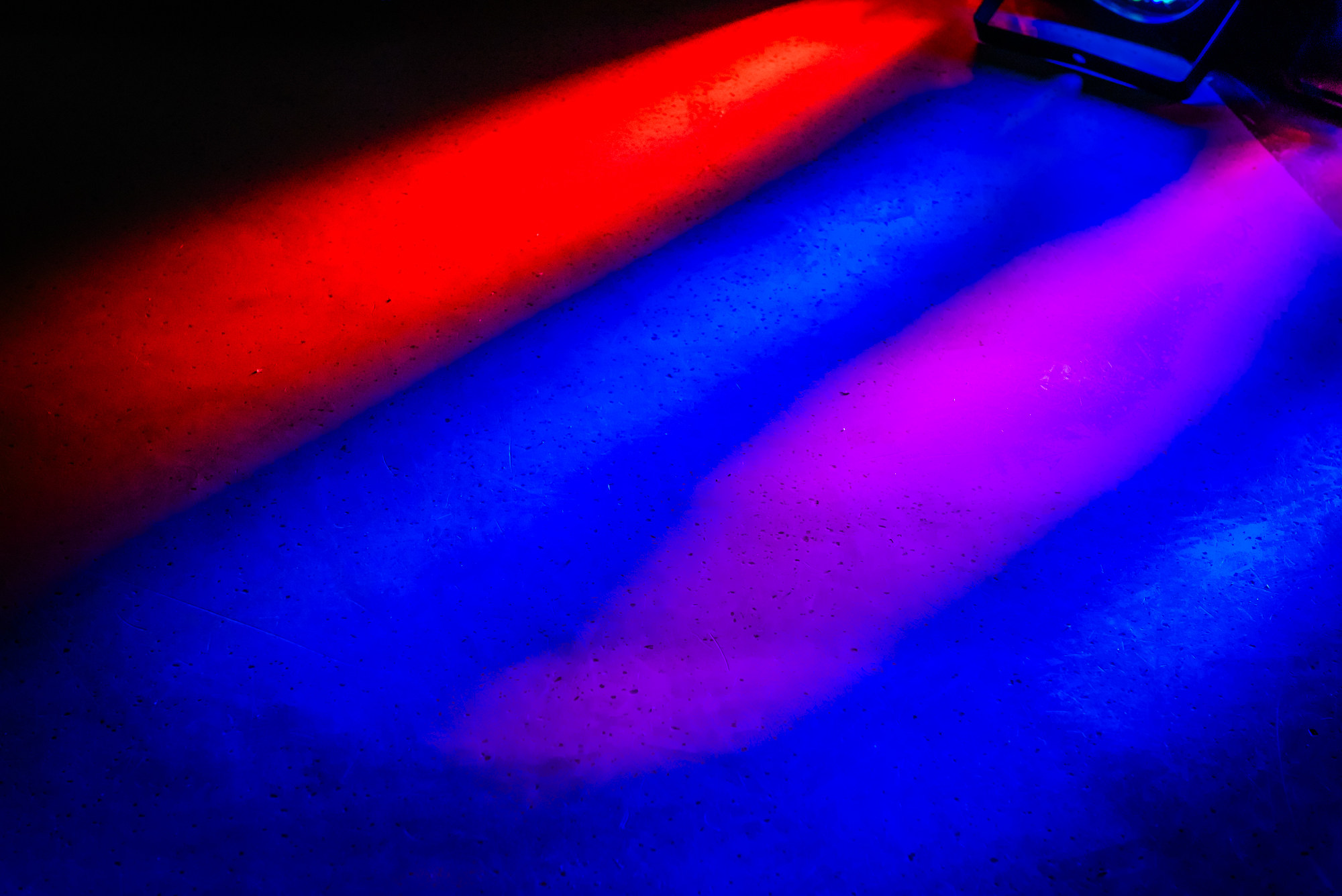 Colourful wedding disco lights casting red, blue, and purple reflections across dance floor.