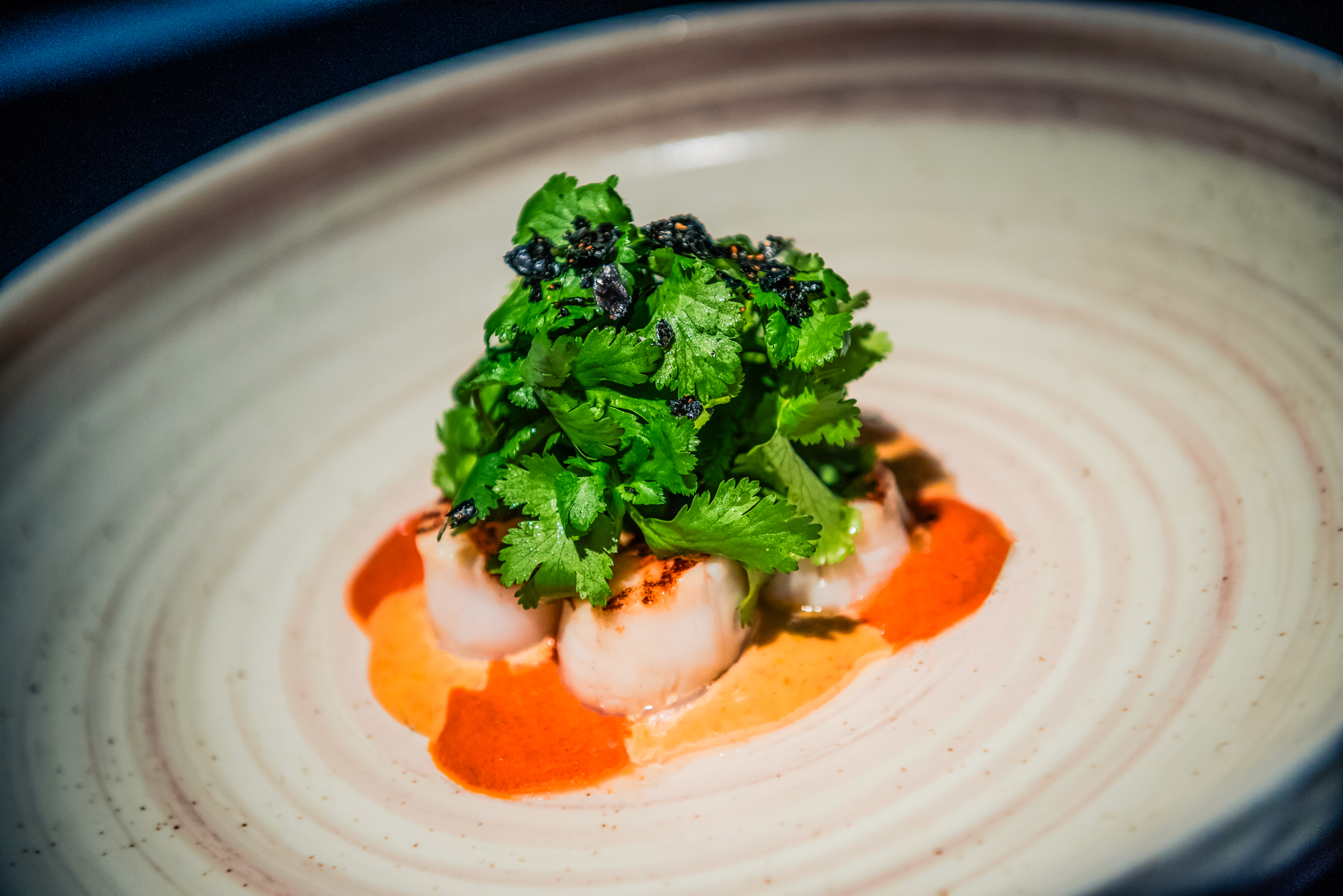 Delicately plated scallops with coriander leaves, sesame garnish, and vibrant orange dressing.