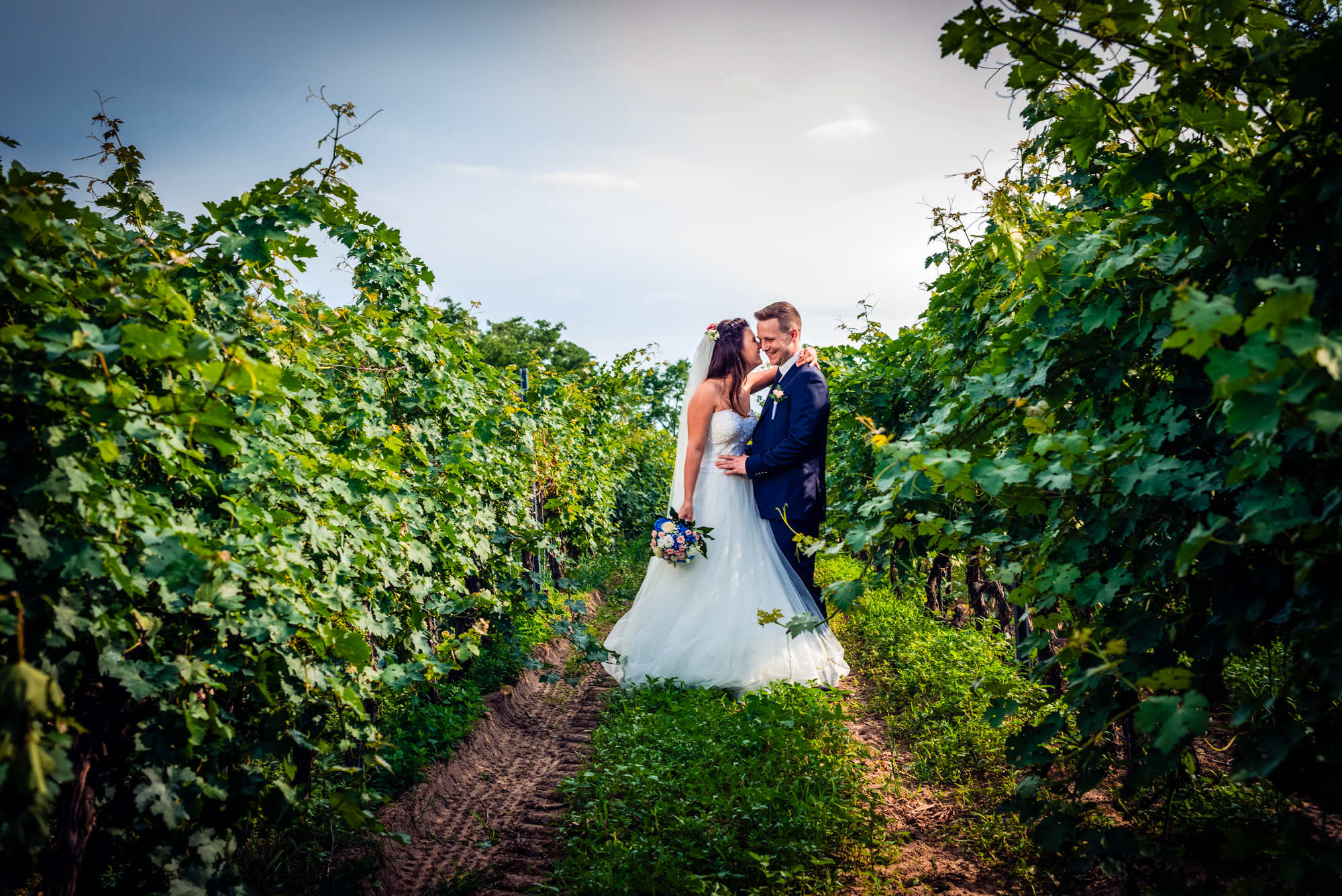 Bride and groom standing between vineyard rows during sunny summer wedding in Hungary.
