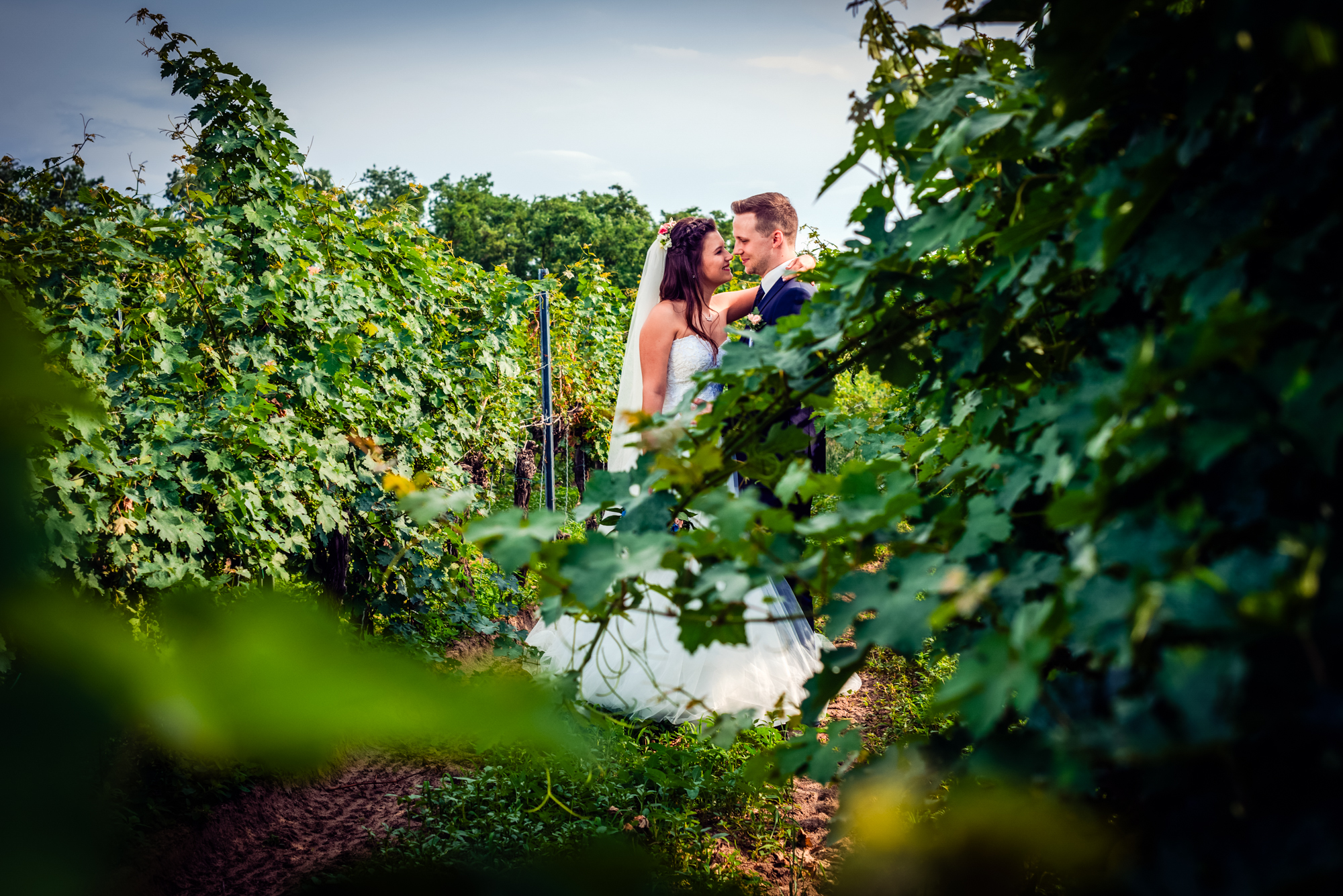 Bride and groom framed by vineyard leaves during romantic outdoor wedding portrait in Hungary.