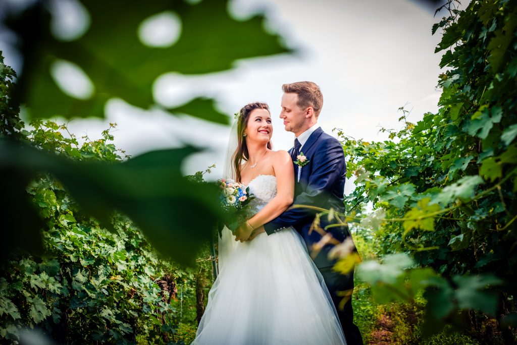 Bride and groom embracing between grapevines during vineyard wedding portrait session in Hungary.