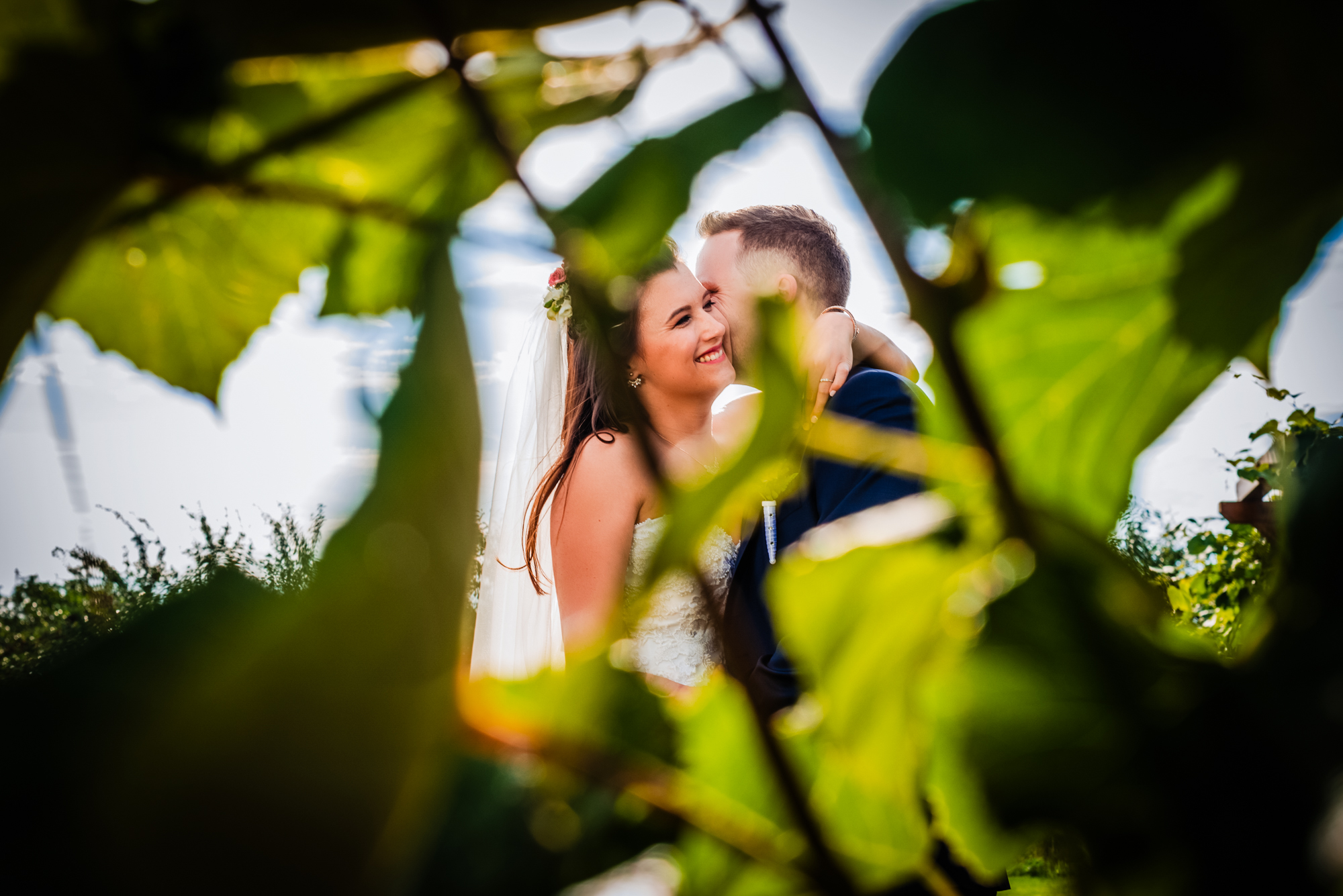 Bride and groom photographed through grapevine leaves during golden hour vineyard wedding in Hungary.
