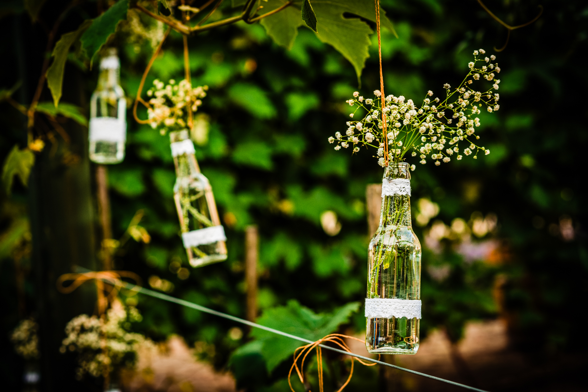 Hanging glass bottle floral decorations between grapevines at rustic vineyard wedding in Hungary.