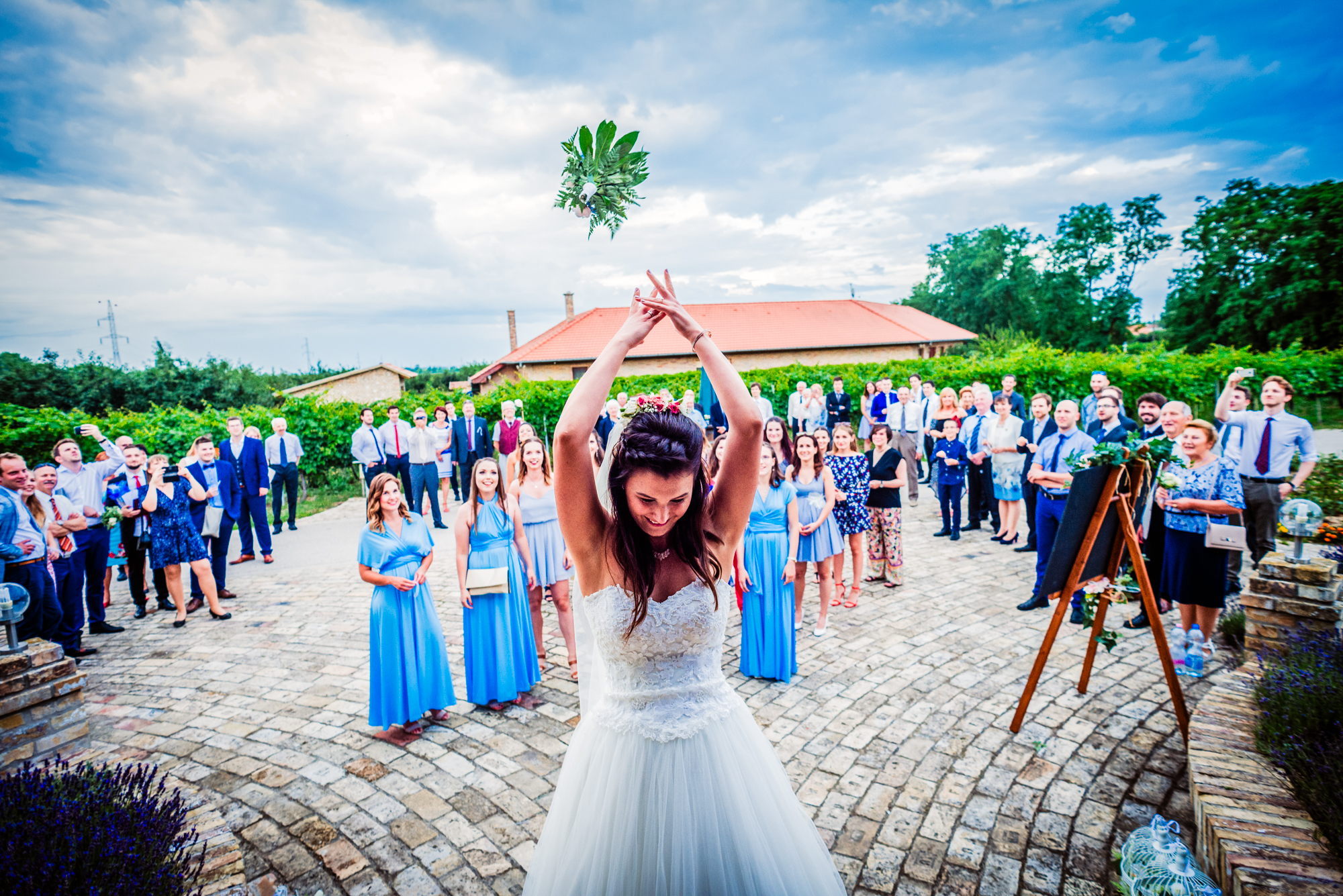 Wedding bouquet flying through the air during outdoor bouquet toss at Hungarian vineyard wedding.