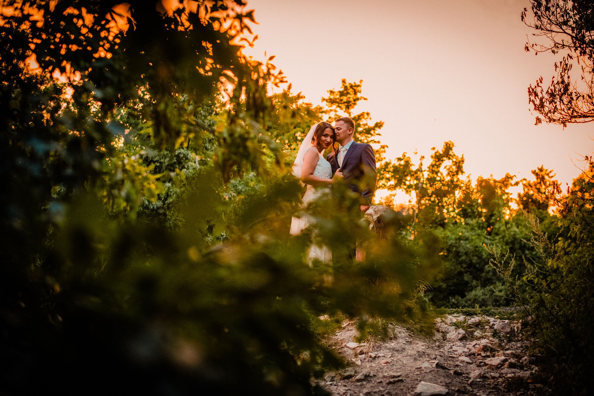 Bride and groom embracing at sunset surrounded by warm light and soft foliage textures.