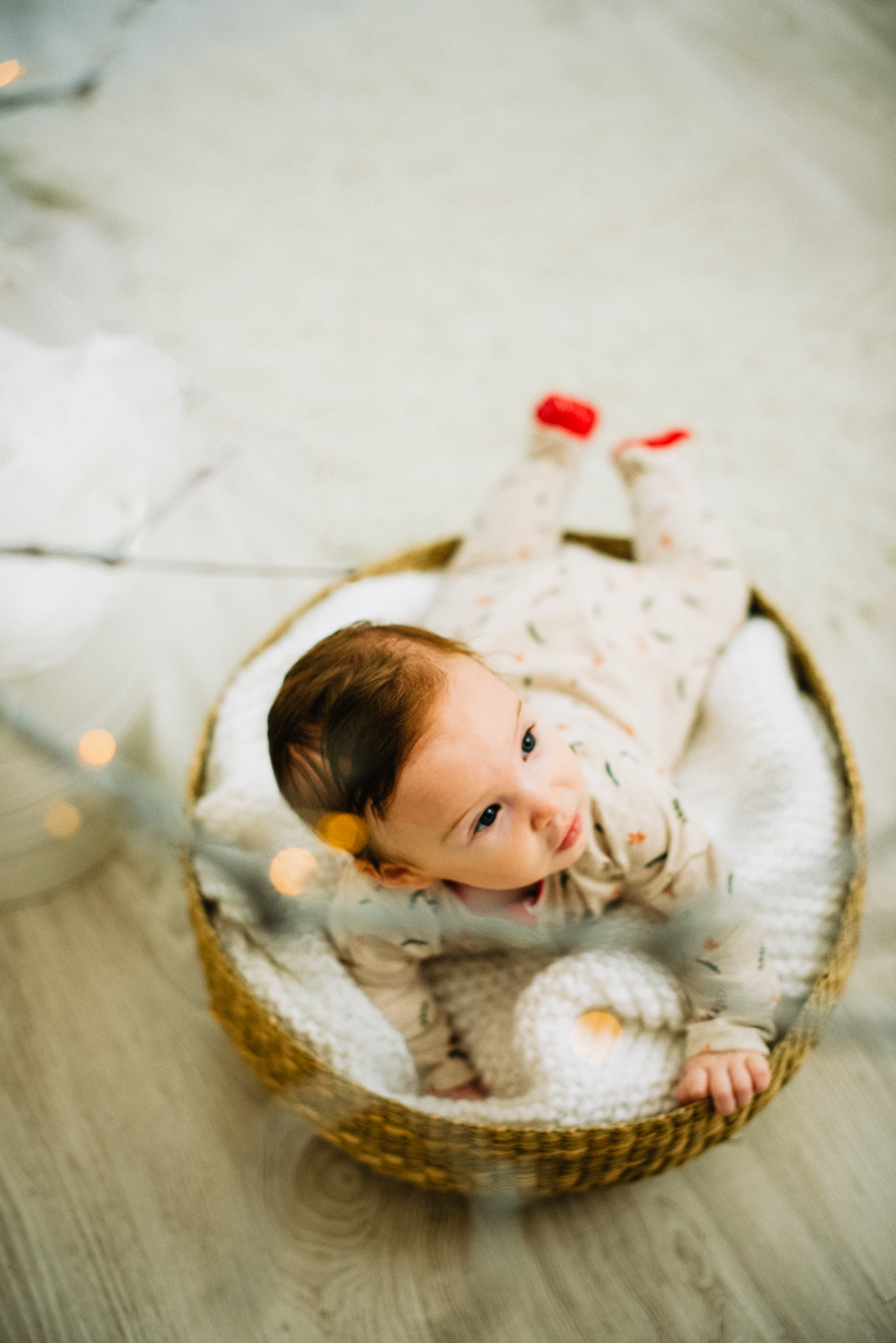 Baby Bella lies in a woven basket on a soft blanket during a festive studio session.