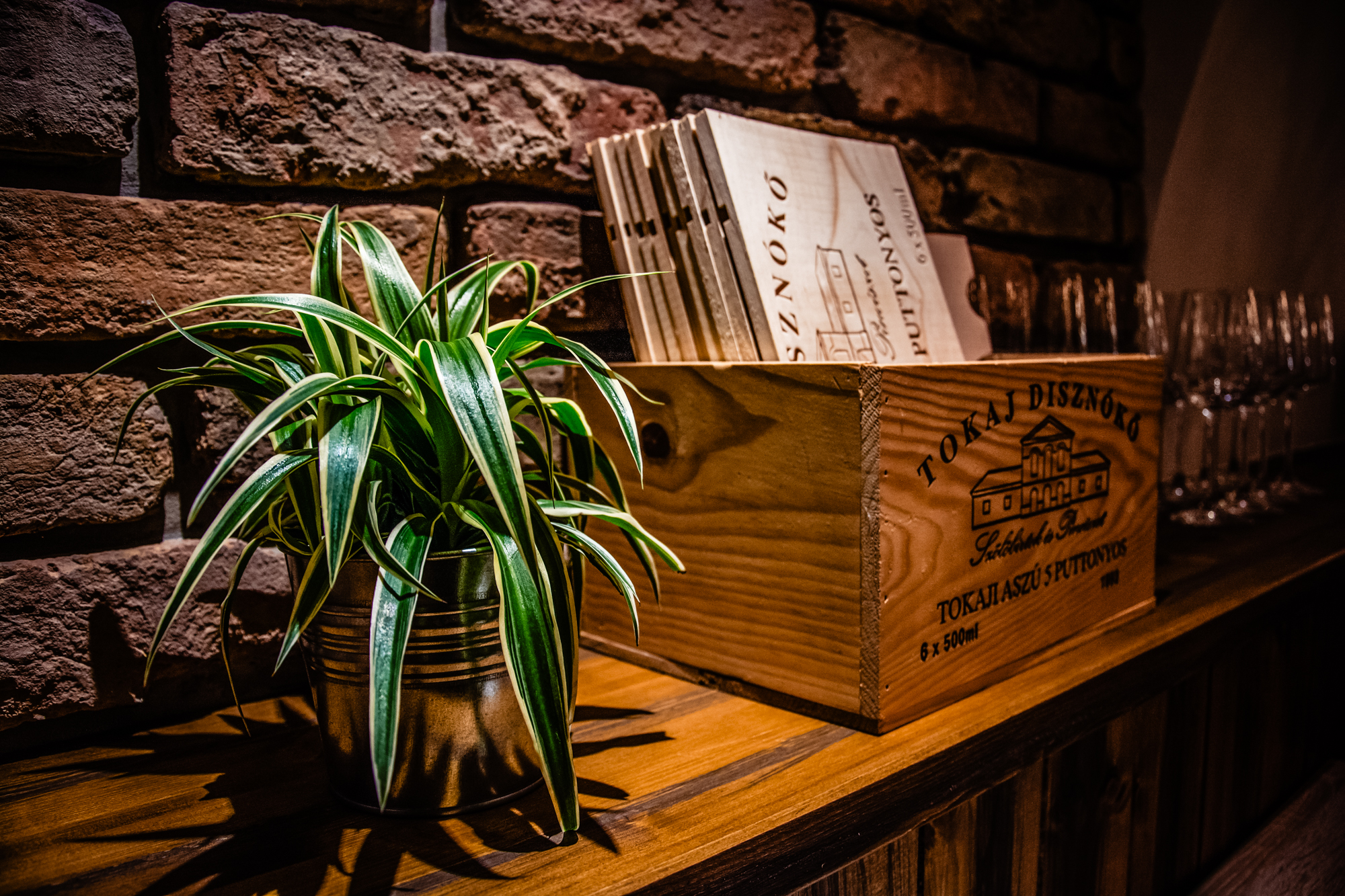 Tokaji wine crate and plant detail on wooden shelf inside Fricska Gastropub restaurant.