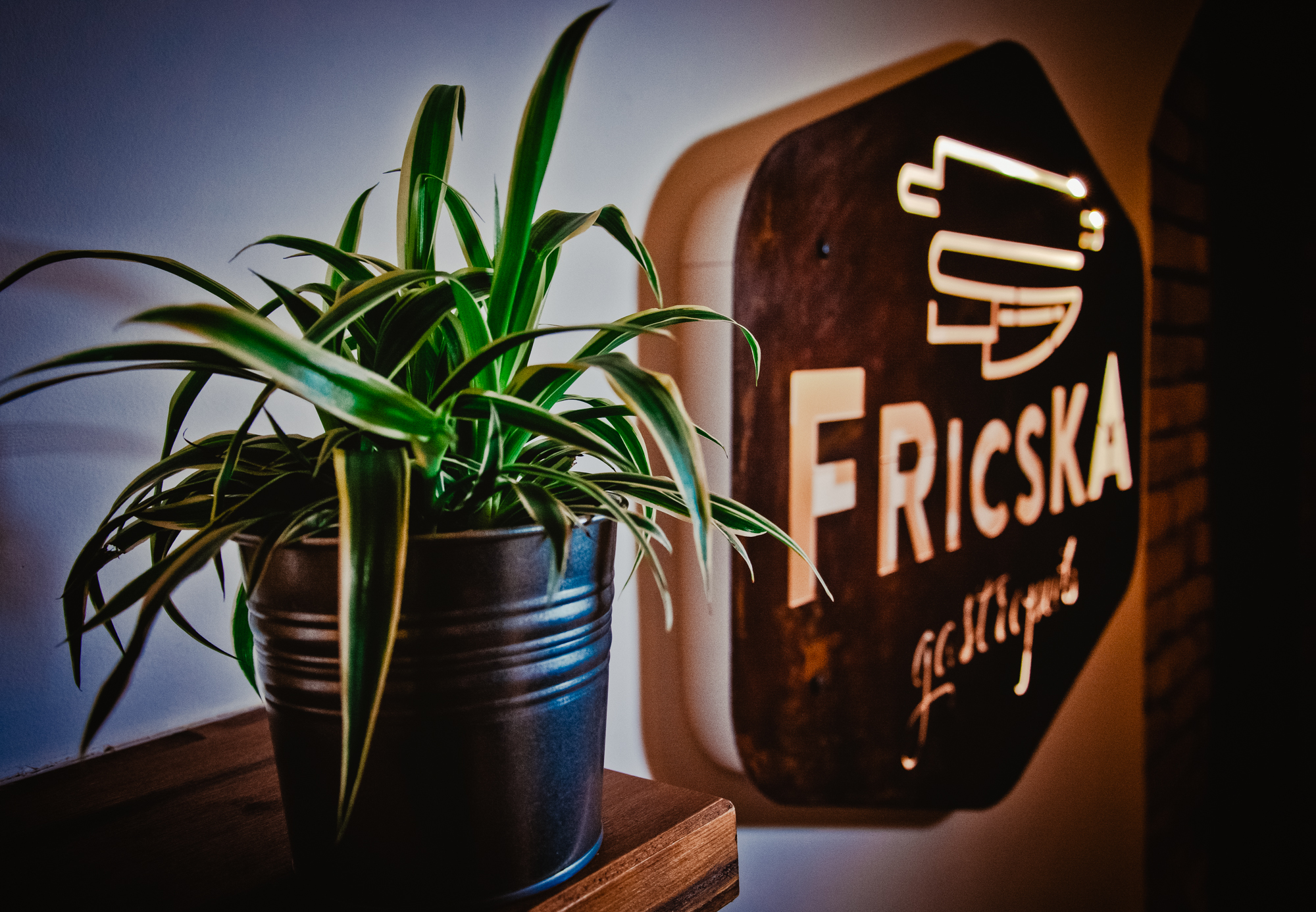 Spider plant beside glowing Fricska Gastropub sign inside cosy Budapest restaurant interior.
