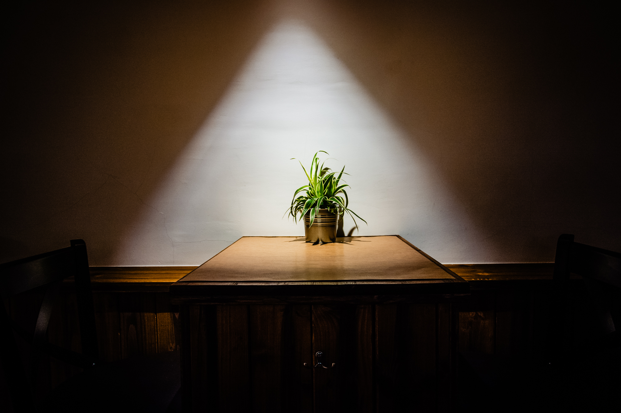 Small plant under spotlight on wooden table inside Fricska Gastropub in Budapest.