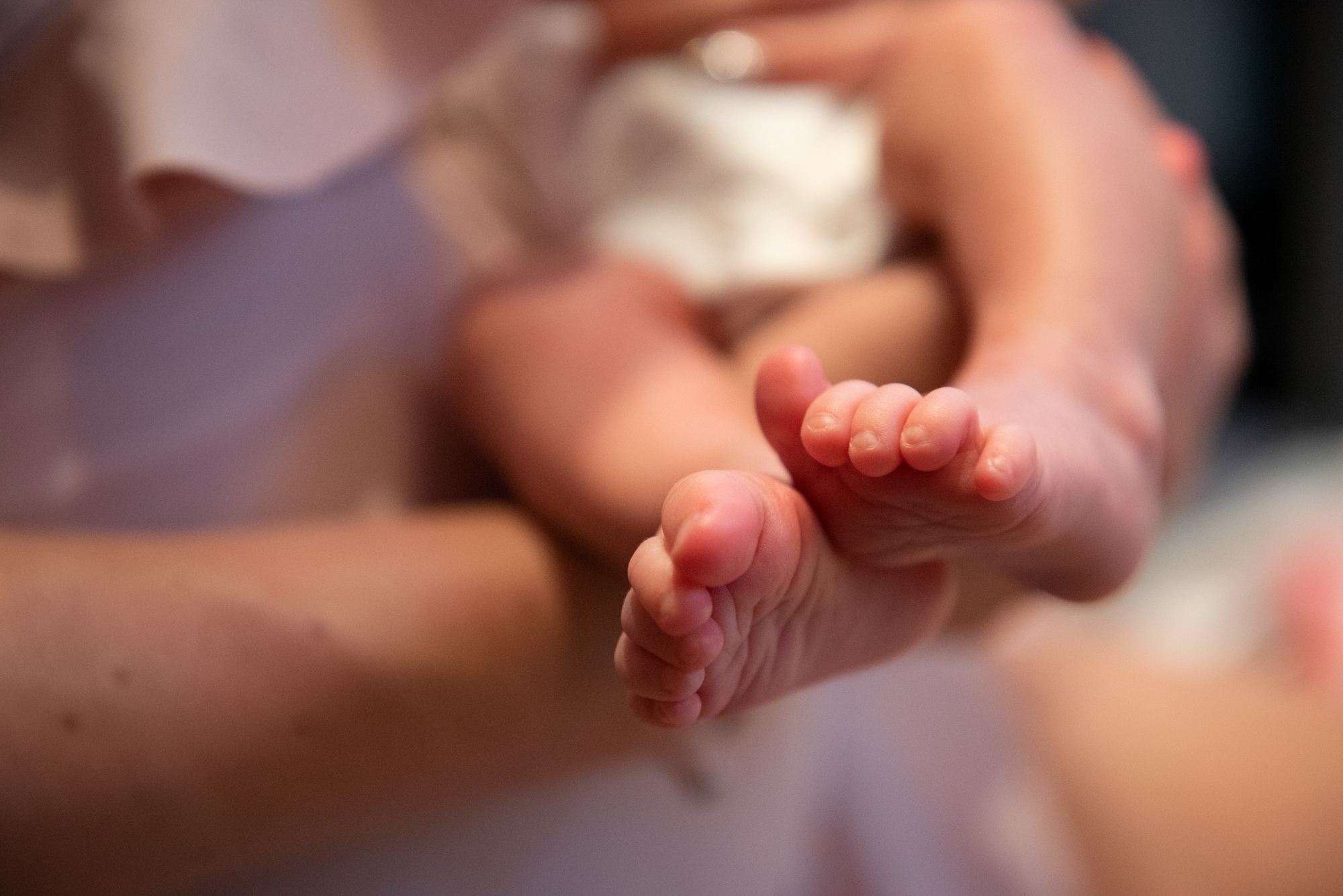 Soft focus detail of newborn baby feet resting in parent’s hands during home session.