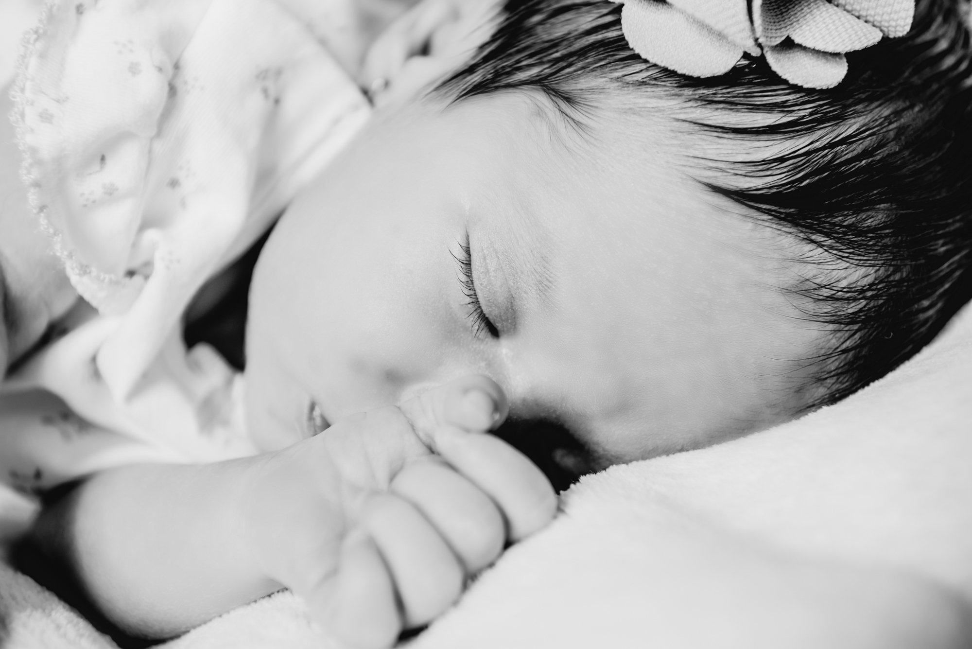 Baby is sleeping during an in home newborn studio session.