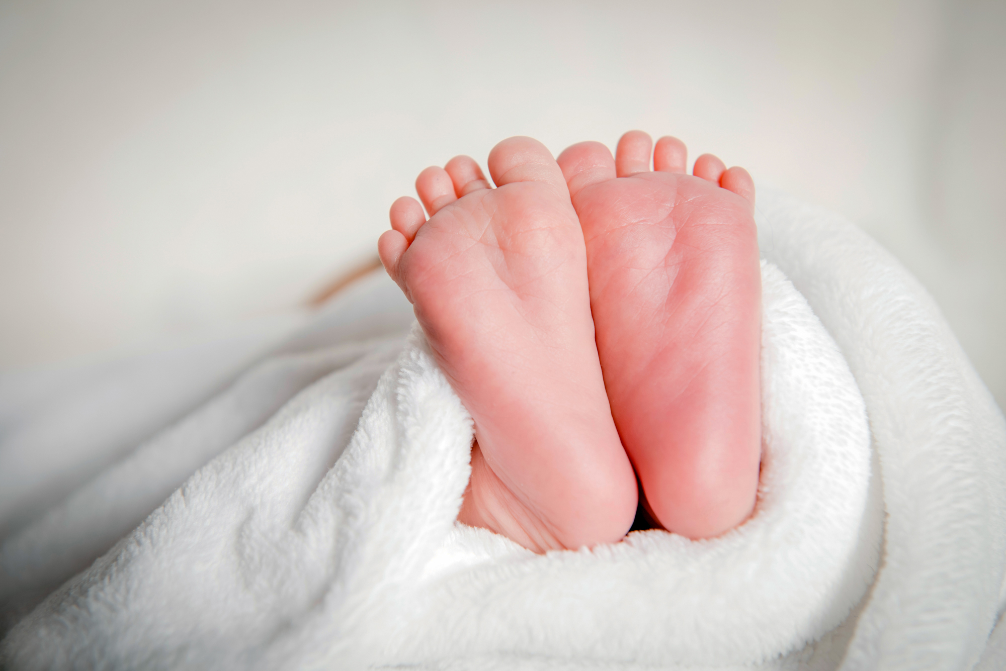 Close-up of newborn baby feet wrapped in soft blanket during calm indoor session.