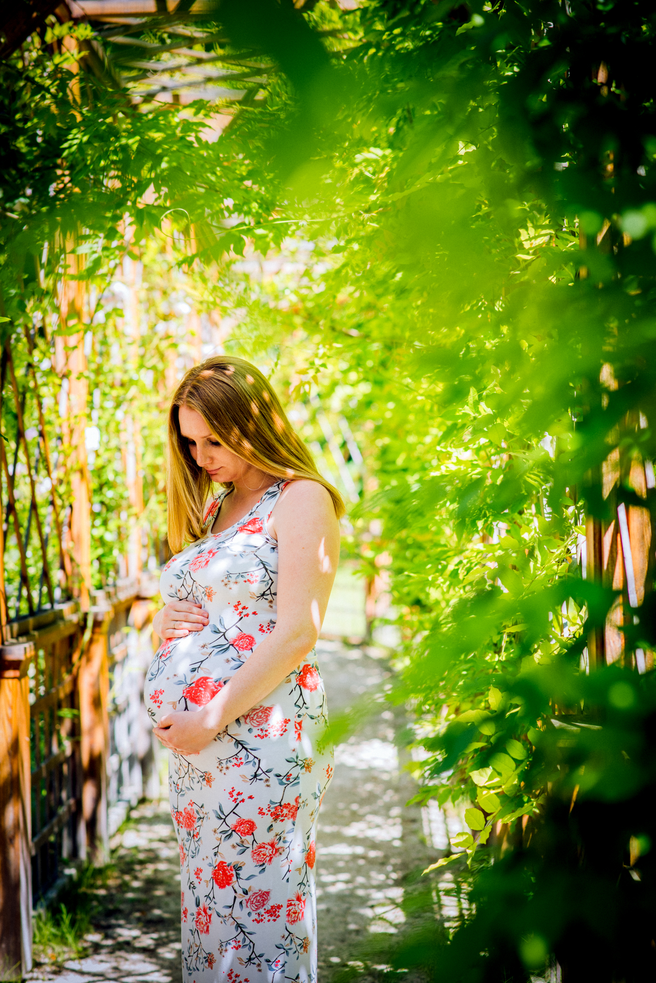 Pregnant woman framed by branches and leaves, looking down at her belly in warm sunlight.