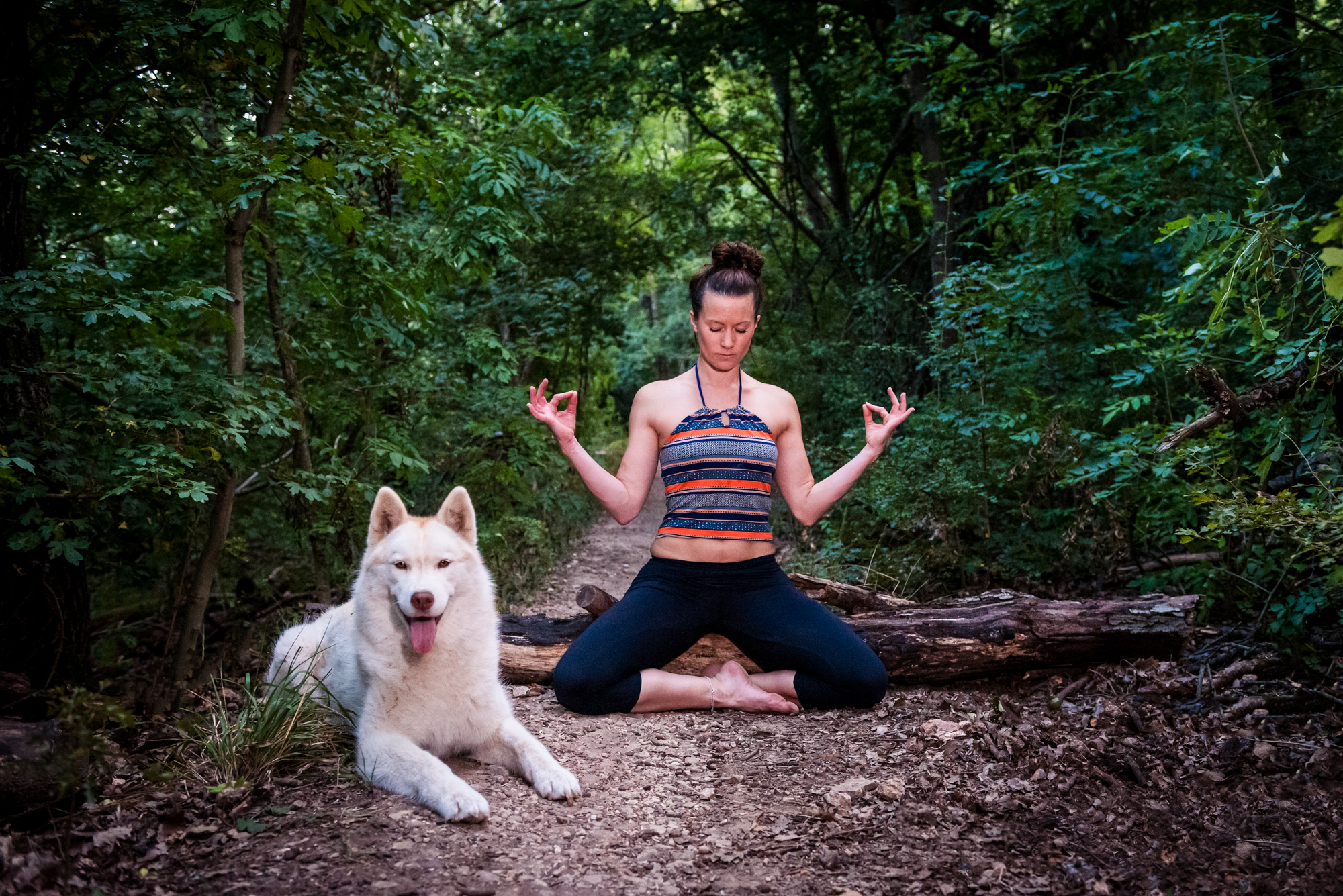 Yoga teacher meditating cross-legged beside a white husky in a forest near Budapest.