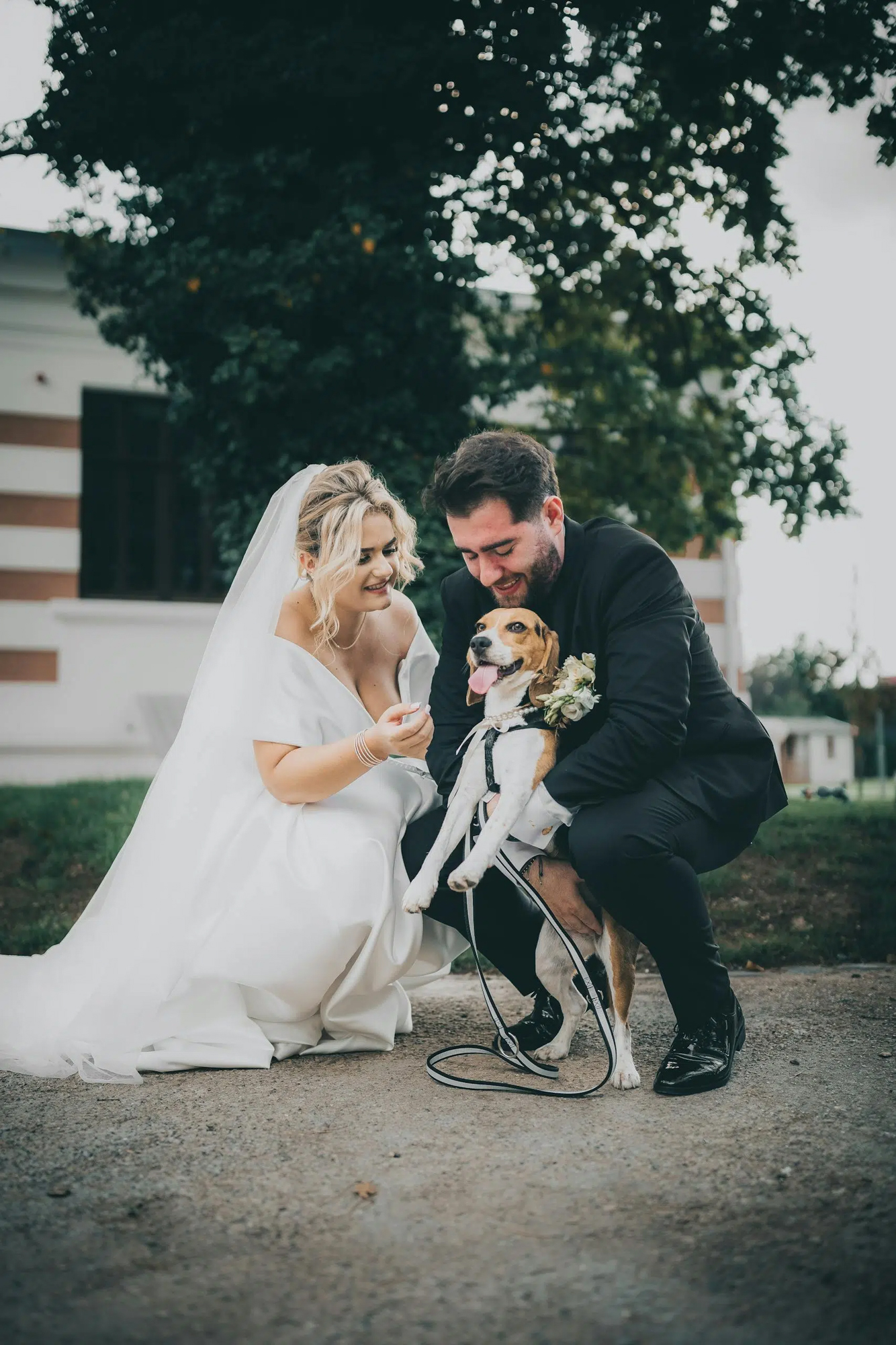 Bride and groom smiling with their beagle during relaxed outdoor wedding portraits