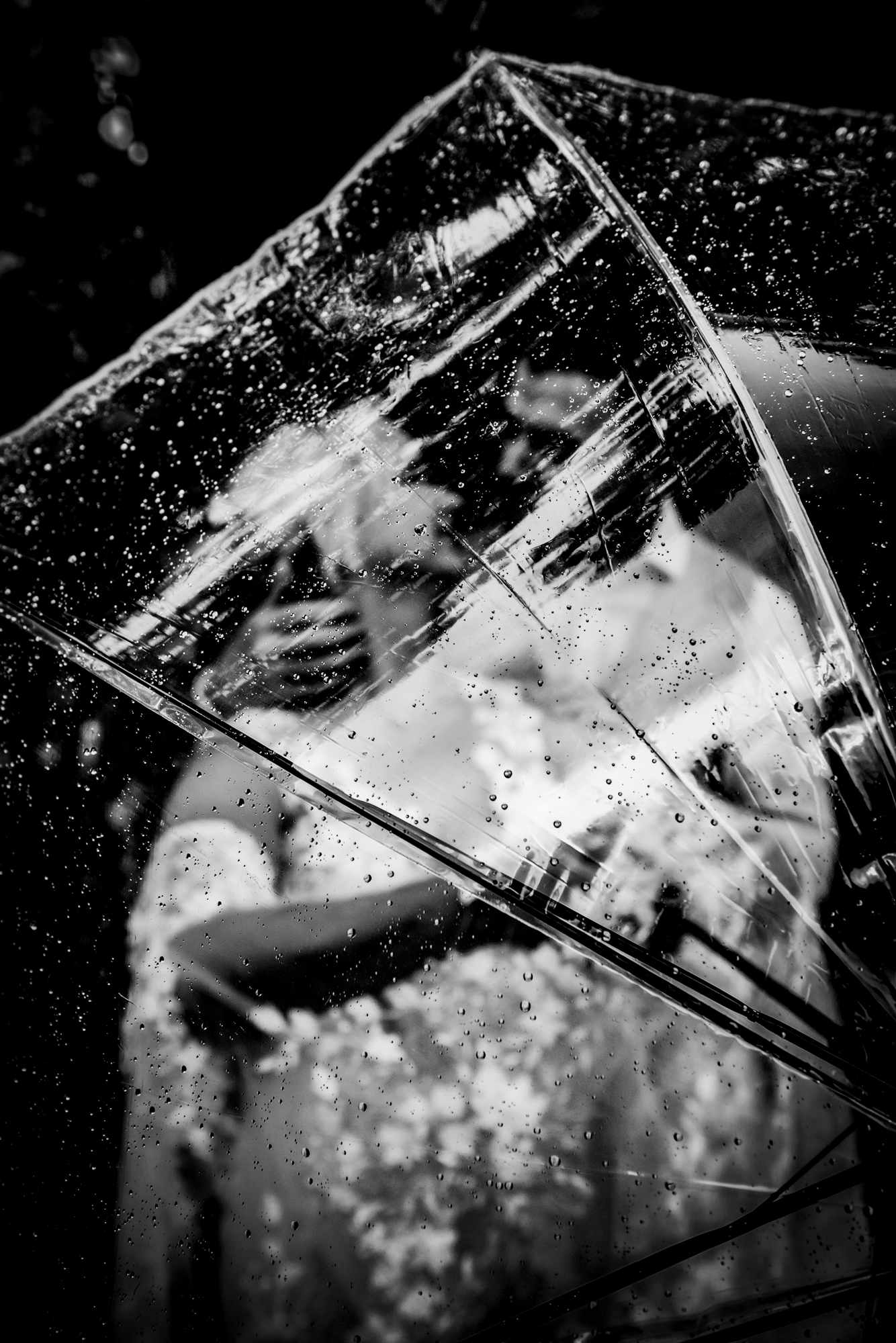 Rain-covered umbrella reflecting Emma and Steve kissing during their anniversary portrait session.