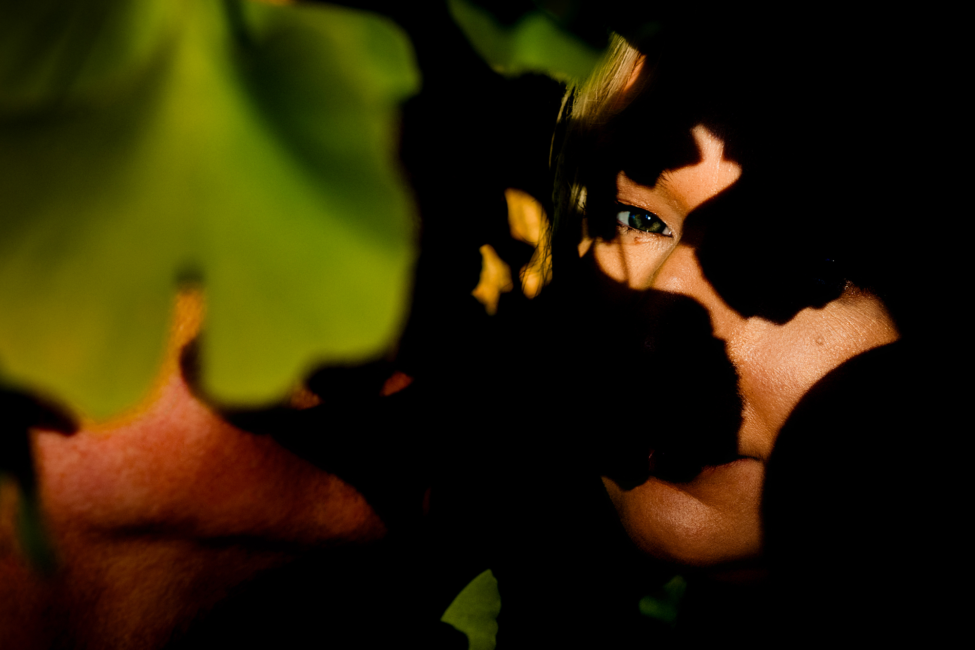 Steve is gently holding Emma as they stand together in a calm garden.