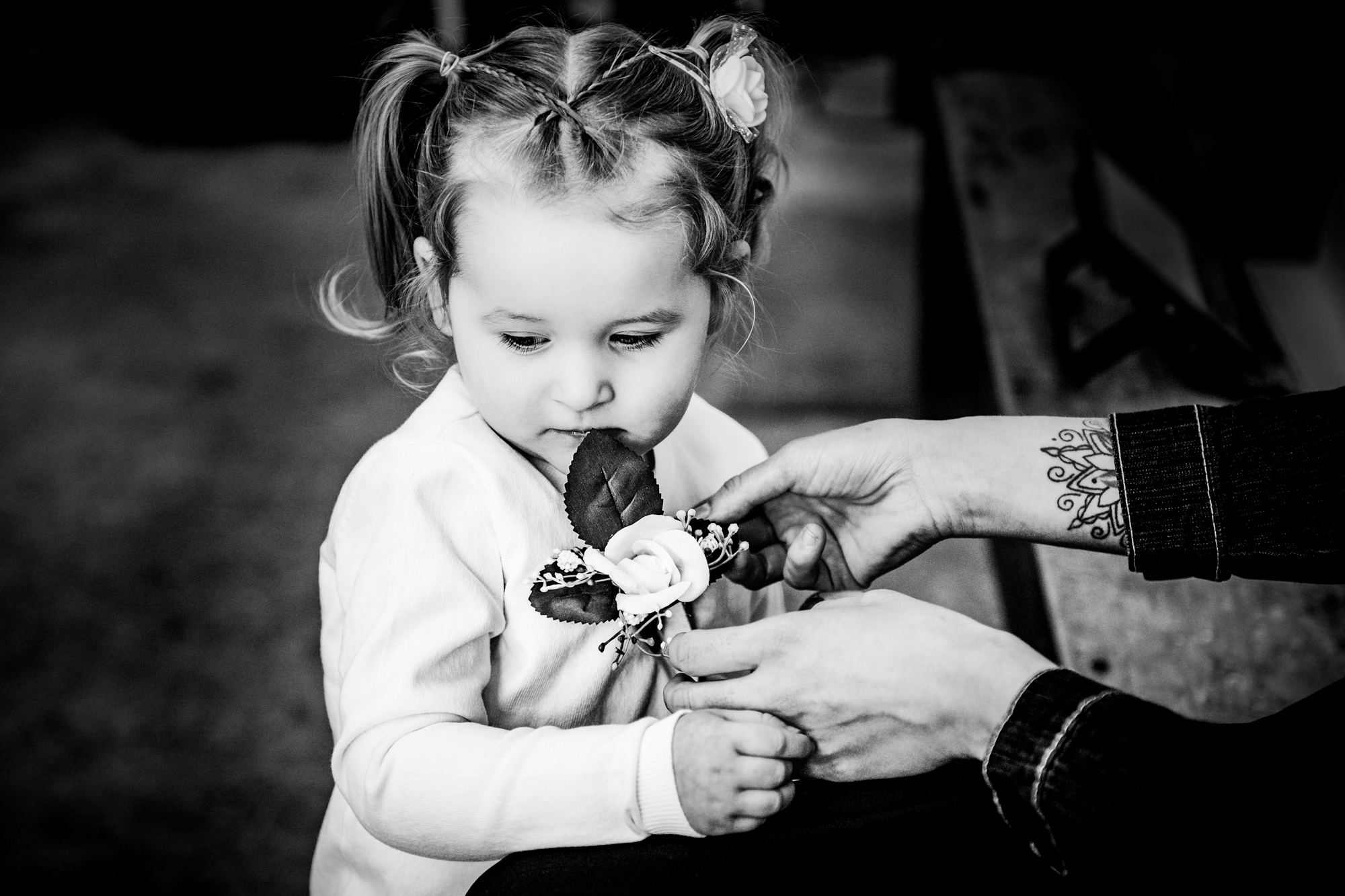 A little girl studies a corsage as an adult gently pins it onto her cardigan.