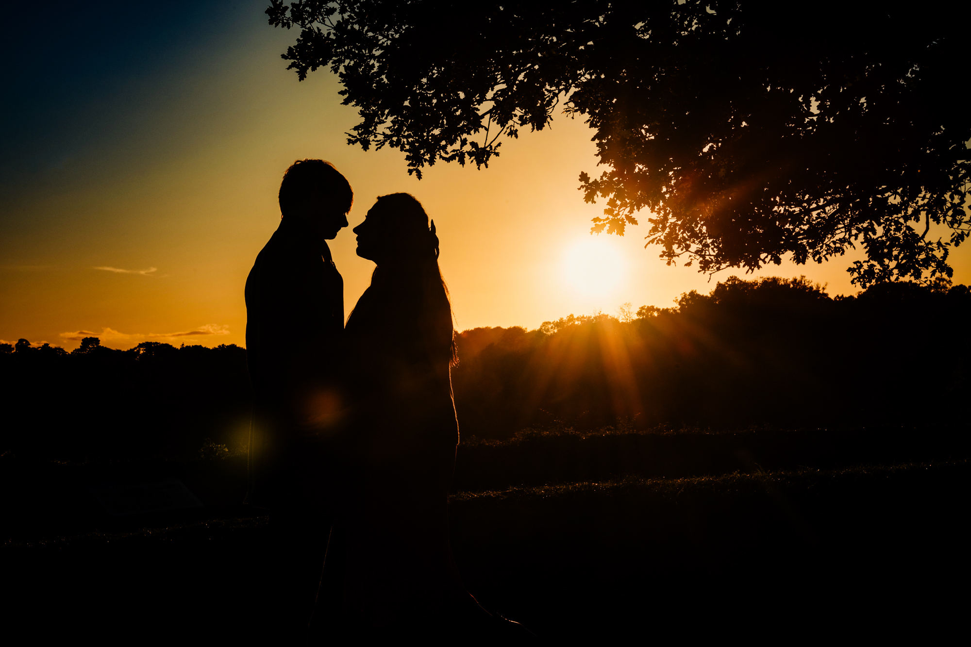 Silhouetted couple embracing beneath tree at sunset during Clifton engagement shoot.