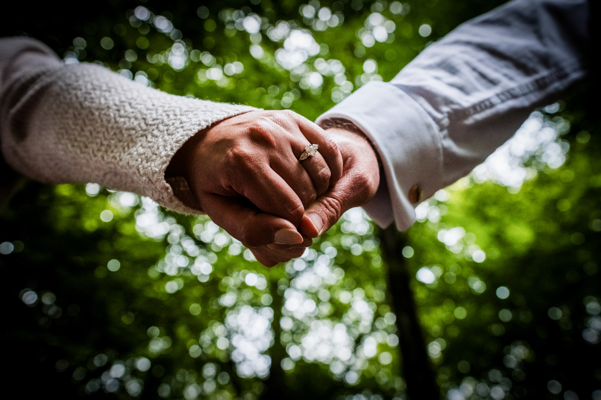 Low-angle detail of the couple’s joined hands beneath the tree canopy in West Woods.